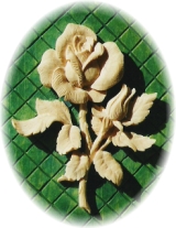 Relief Rose